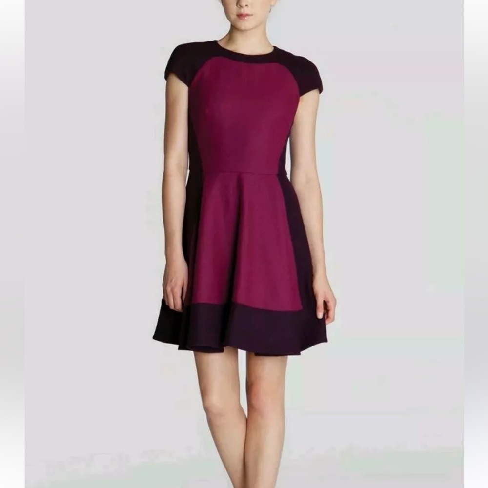 Ted Baker wool blend colorblock flare dress size 0 winter holiday wool